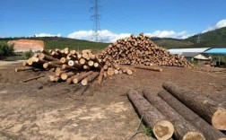 哪个工厂可以收购大量松木？松木心求购