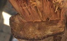 怎么根据香味辨别木质？木头有多少种香味