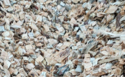 碎木屑多少钱一吨哪里需要？广西松木片收购
