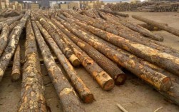 巴西木材最大出口国？巴西产松木吗