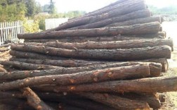 木材多少一吨？原木松木木材市场
