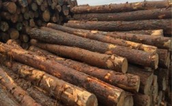 东北松和俄罗斯进口樟子松木的区别主要是什么？东北小姐松木材