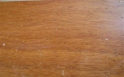 木地板有蚂蚁怎么去除（木地板下面有蚂蚁是怎么生成的）