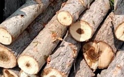 木工加工的木材都是哪里买的？广东哪里收购松木