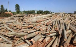 2023年一吨桉树木材价格？近期木料行情