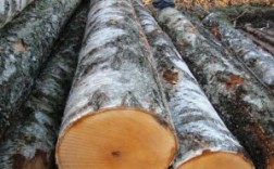 铁木是什么？桦木直径5厘米一米多少钱
