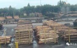 贵阳木材批发市场有几个，在哪里？贵州杉木市场