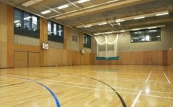 体育篮球运动木地板（篮球 木地板）