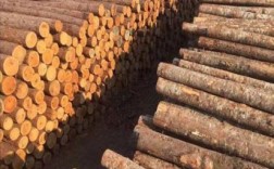 揭阳新亨镇木材市场杉木价格？全国杉木木材价格