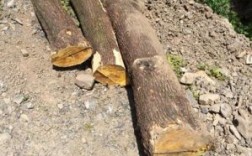 江西的大山中有一种黄檀木,非常硬的，柴刀是砍不了的，所没法拿来看，这种木是好木吗？江西废木料回收