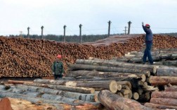世界第一大木材进口国？进口木料采购