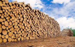 木材一立方是多少吨？全球一年消耗多少木材重量