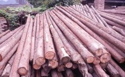 广西最大杉木木材加工厂有哪些？广西香杉木