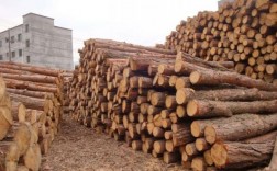 木头的特性是什么？西洋衫松木