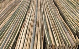 广东哪里纸厂收购竹片？竹胶合板多少钱一块