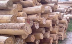 实木材质排名？福建圆杉木木材市场