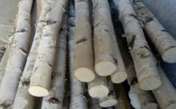 白桦树的木材材质硬吗？白桦原木多少钱一吨