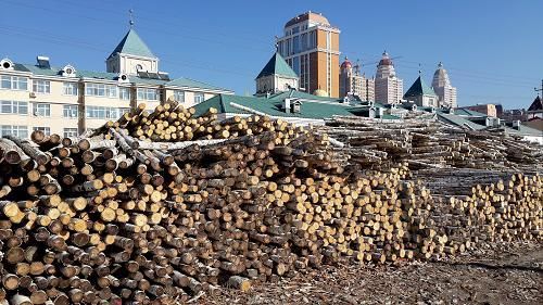 说出绥芬河市建设中俄木材加工交易中心的区位优势？满洲里木材近期价格多少-图1