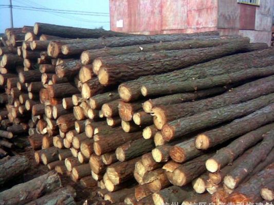 木材多少一吨？8年的松木值多少钱-图2