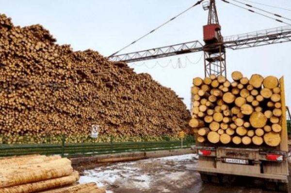 俄罗斯进口出口产品排行榜？进口俄罗斯木材多少钱-图3