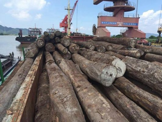 中国有哪些木材交易市场，主要的？鱼珠木材市场开了多少年-图1