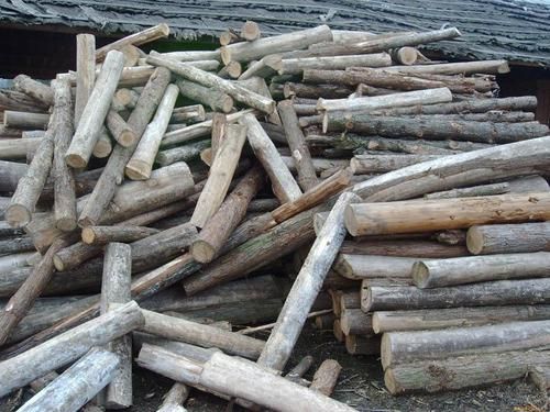 买废木材有什么平台？中国木业网多少钱一吨-图2