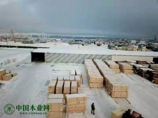 中国进口俄罗斯哪种木材最多？2008年第四季度中国从俄罗斯进口原木多少-图1
