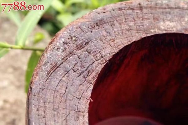 千年紫檀百年酸枝：红木到底要多少年才能成材？酸枝树多少年才能成材-图1