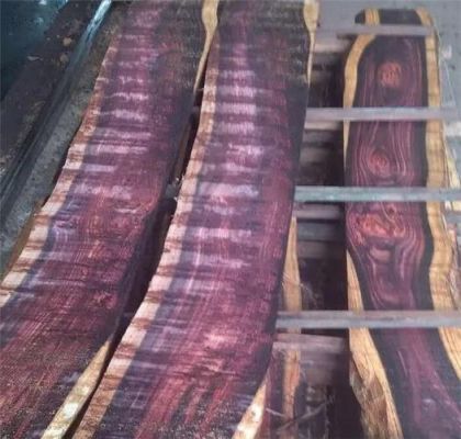 千年紫檀百年酸枝：红木到底要多少年才能成材？酸枝树多少年才能成材-图2