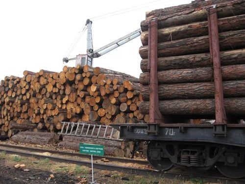 木材加工厂得上多少税？木材出口美国关税是多少-图1