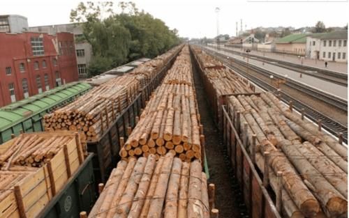 世界木材储量排名？俄罗斯原木有多少-图3