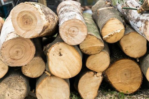 木材生意利润有多大？木头加工多少钱-图3