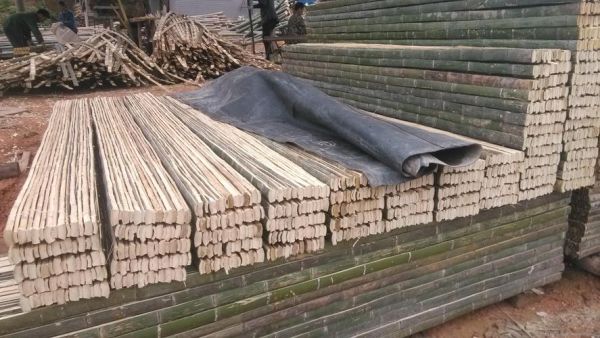 竹子的种类和用途？竹胶板的甲醛是多少-图2