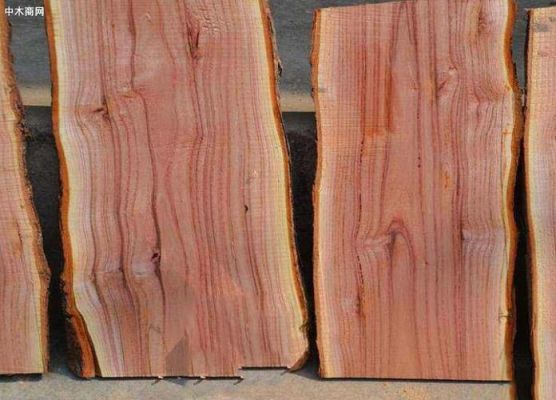 什么木材适合做枕木？柿木硬度多少-图3
