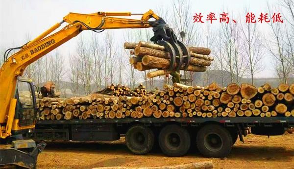 抓木机请司机装木头多少钱一吨？木头多少钱一顿-图3