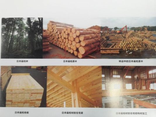 进口木材十大排名？日本木材进口和出口多少-图3