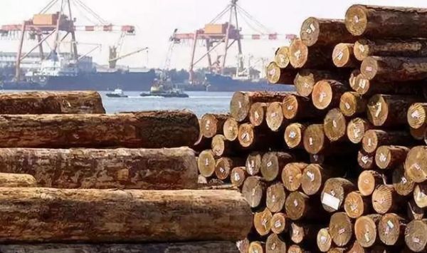 日本木材紧缺的原因？日本木材进口和出口多少钱一包-图1