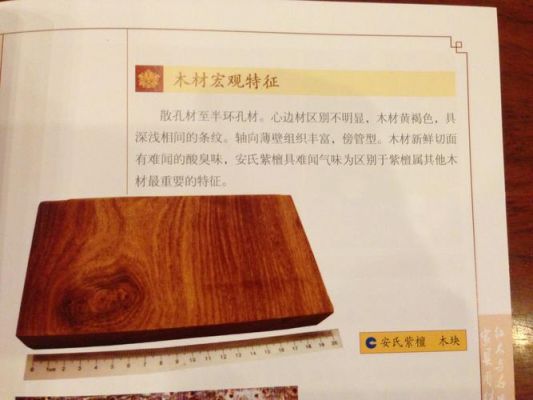 世界上最贵的木材排名20名？安达曼紫檀价格多少一斤-图1