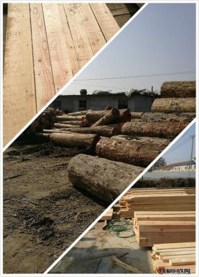 寿材木材哪里批发便宜？日照木材加工厂有多少-图3