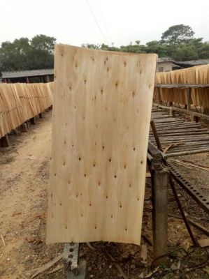 桉木单板与桉木面皮有什么区别？桉木单板价格多少钱一方-图3