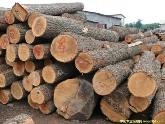 橡子树属于国家几级木材？美国白橡多少年成才-图2