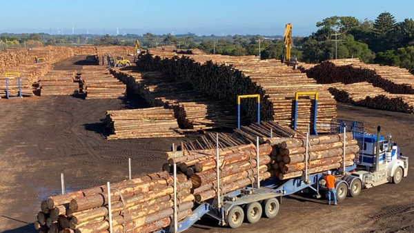 木制品加工厂利润怎么样？一张木材利润多少钱-图3