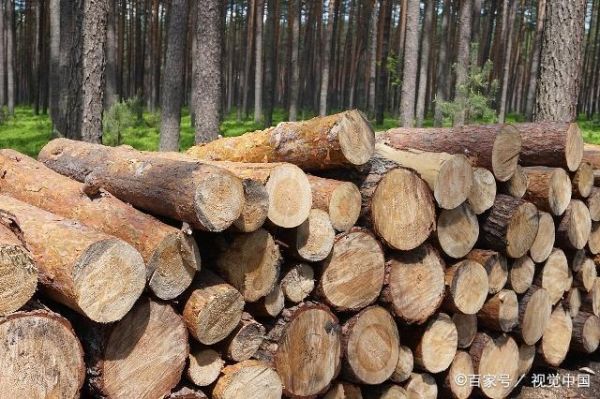 木材多少一吨？木头最新多少钱一吨-图2