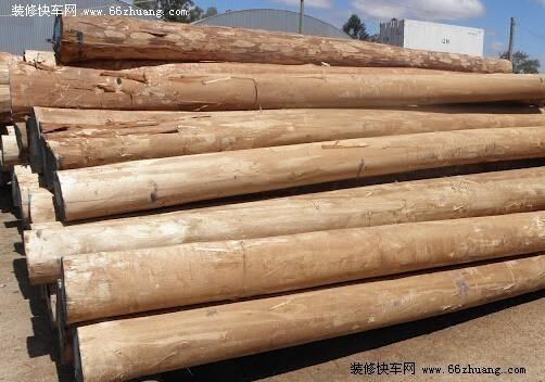 木材多少一吨？木头最新多少钱一吨-图3