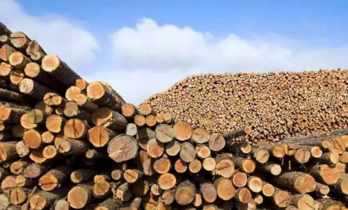 中国进口木材的种类？非洲寄木材到中国多少钱一斤