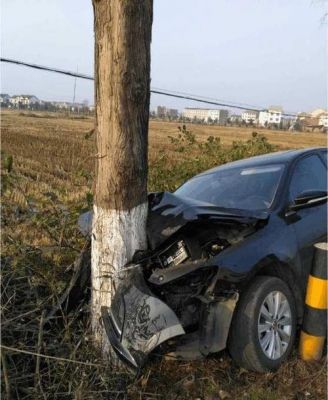 车速达到多少撞树会导致车粉碎？树木破碎机器多少吨-图3