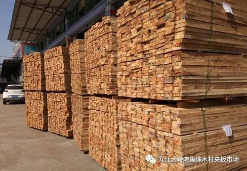 广东哪里有大的木材板材批发市场，最好是广州，东莞这边？广东有多少木材市场-图3