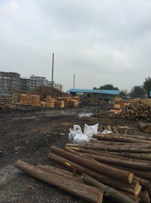 加拿大木材什么时候还能入驻天津？2020年松木生木头多少钱一吨公司-图1
