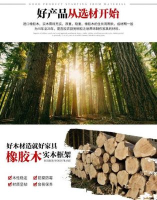 云南桤木和橡胶木的区别？云南橡胶原木多少钱一吨-图1