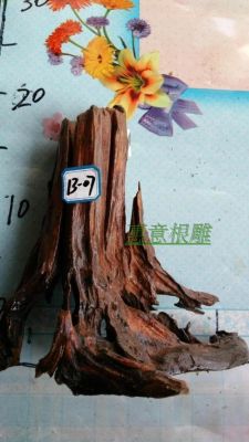 木头怎么变沉木？如何改变木头密度是多少-图2